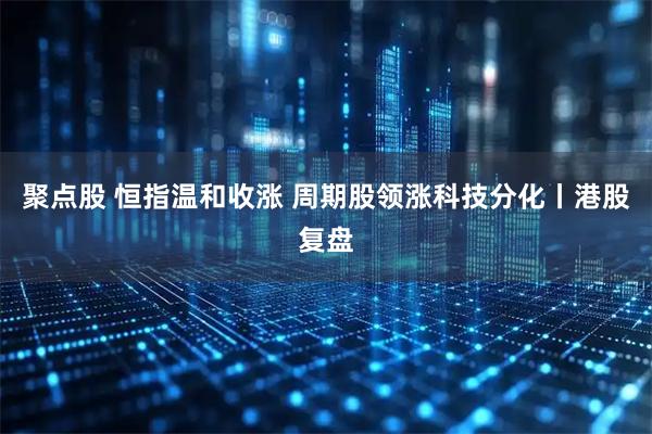 聚点股 恒指温和收涨 周期股领涨科技分化丨港股复盘